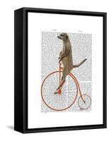 Meerkat on Orange Penny Farthing-Fab Funky-Framed Stretched Canvas