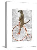 Meerkat on Orange Penny Farthing-Fab Funky-Stretched Canvas