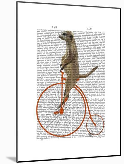 Meerkat on Orange Penny Farthing-Fab Funky-Mounted Art Print