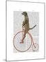 Meerkat on Orange Penny Farthing-Fab Funky-Mounted Art Print