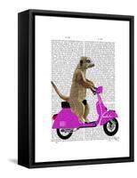 Meerkat on Pink Moped-Fab Funky-Framed Stretched Canvas