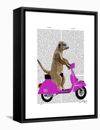 Meerkat on Pink Moped-Fab Funky-Framed Stretched Canvas