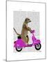 Meerkat on Pink Moped-Fab Funky-Mounted Art Print