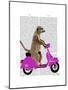 Meerkat on Pink Moped-Fab Funky-Mounted Art Print