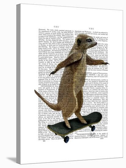 Meerkat on Skateboard-Fab Funky-Stretched Canvas