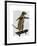 Meerkat on Skateboard-Fab Funky-Framed Art Print