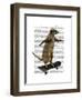 Meerkat on Skateboard-Fab Funky-Framed Art Print