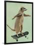 Meerkat on Skateboard-Fab Funky-Framed Premium Giclee Print