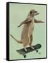 Meerkat on Skateboard-Fab Funky-Framed Stretched Canvas