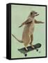 Meerkat on Skateboard-Fab Funky-Framed Stretched Canvas