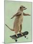 Meerkat on Skateboard-Fab Funky-Mounted Art Print