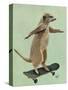 Meerkat on Skateboard-Fab Funky-Stretched Canvas