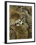 Meerkat Protecting Young, Australia-David Wall-Framed Photographic Print