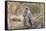 Meerkat Sentry Keeping Watch for Predators-Alan J. S. Weaving-Framed Stretched Canvas