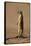 Meerkat Standing on Hind Legs-Paul Souders-Framed Stretched Canvas