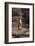 Meerkat Standing Up-DLILLC-Framed Photographic Print