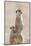 Meerkat (Suricata suricatta) adult, alert sentinel, with baby, Kalahari-Andrew Forsyth-Mounted Photographic Print