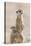 Meerkat (Suricata suricatta) adult, alert sentinel, with baby, Kalahari-Andrew Forsyth-Stretched Canvas