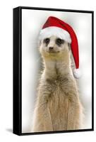 Meerkat Wearing Christmas Hat-null-Framed Stretched Canvas