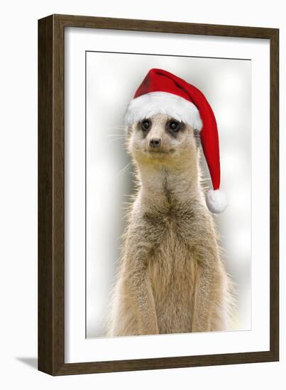 Meerkat Wearing Christmas Hat-null-Framed Photographic Print