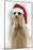 Meerkat Wearing Christmas Hat-null-Mounted Photographic Print