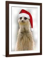 Meerkat Wearing Christmas Hat-null-Framed Photographic Print