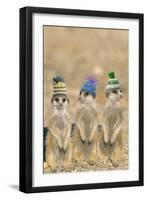 Meerkat Wearing Woolly Hats-null-Framed Photographic Print