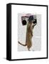 Meerkat with Boom Box Ghetto Blaster-Fab Funky-Framed Stretched Canvas