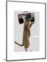 Meerkat with Boom Box Ghetto Blaster-Fab Funky-Mounted Art Print