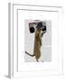 Meerkat with Boom Box Ghetto Blaster-Fab Funky-Framed Art Print