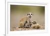 Meerkat with Pups-Paul Souders-Framed Photographic Print