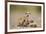 Meerkat with Pups-Paul Souders-Framed Photographic Print