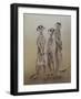 Meerkats, 2014-Odile Kidd-Framed Giclee Print