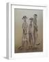 Meerkats, 2014-Odile Kidd-Framed Giclee Print