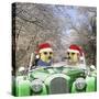 Meerkats Driving Car Through Snow Scene Wearing-null-Stretched Canvas