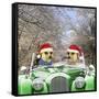 Meerkats Driving Car Through Snow Scene Wearing-null-Framed Stretched Canvas