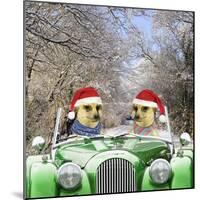 Meerkats Driving Car Through Snow Scene Wearing-null-Mounted Photographic Print