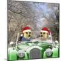 Meerkats Driving Car Through Snow Scene Wearing-null-Mounted Photographic Print