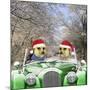 Meerkats Driving Car Through Snow Scene Wearing-null-Mounted Photographic Print