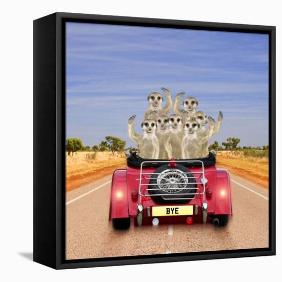 Meerkats in Car Waving-null-Framed Stretched Canvas