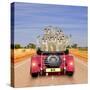 Meerkats in Car Waving-null-Stretched Canvas