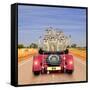 Meerkats in Car Waving-null-Framed Stretched Canvas