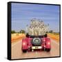 Meerkats in Car Waving-null-Framed Stretched Canvas