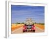 Meerkats in Car Waving-null-Framed Photographic Print