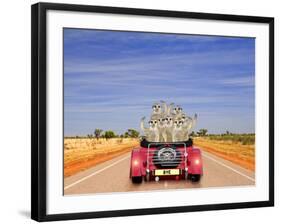 Meerkats in Car Waving-null-Framed Photographic Print