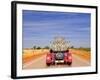 Meerkats in Car Waving-null-Framed Photographic Print