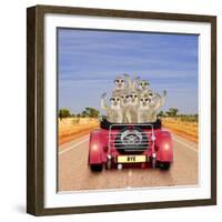 Meerkats in Car Waving-null-Framed Photographic Print