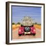 Meerkats in Car Waving-null-Framed Photographic Print