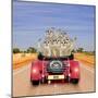 Meerkats in Car Waving-null-Mounted Photographic Print