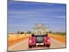Meerkats in Car Waving-null-Mounted Photographic Print